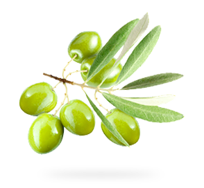 Oliveira